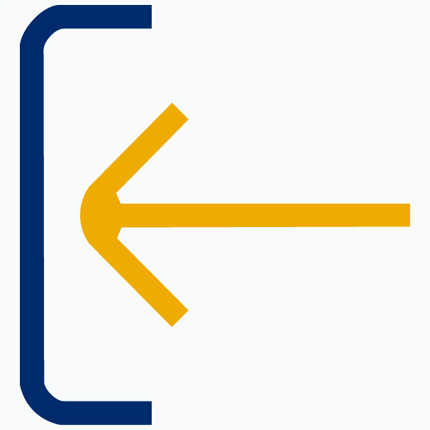 access@3x-100.jpg