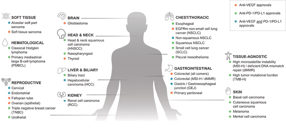 [MISSING IMAGE: ph_antivegf-4c.jpg]