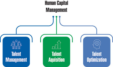 [MISSING IMAGE: fc_humancapital-pn.jpg]