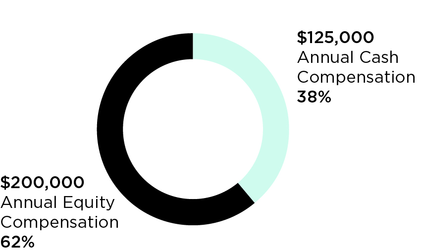 03_PRO013581 pie_Director-Compensation.jpg