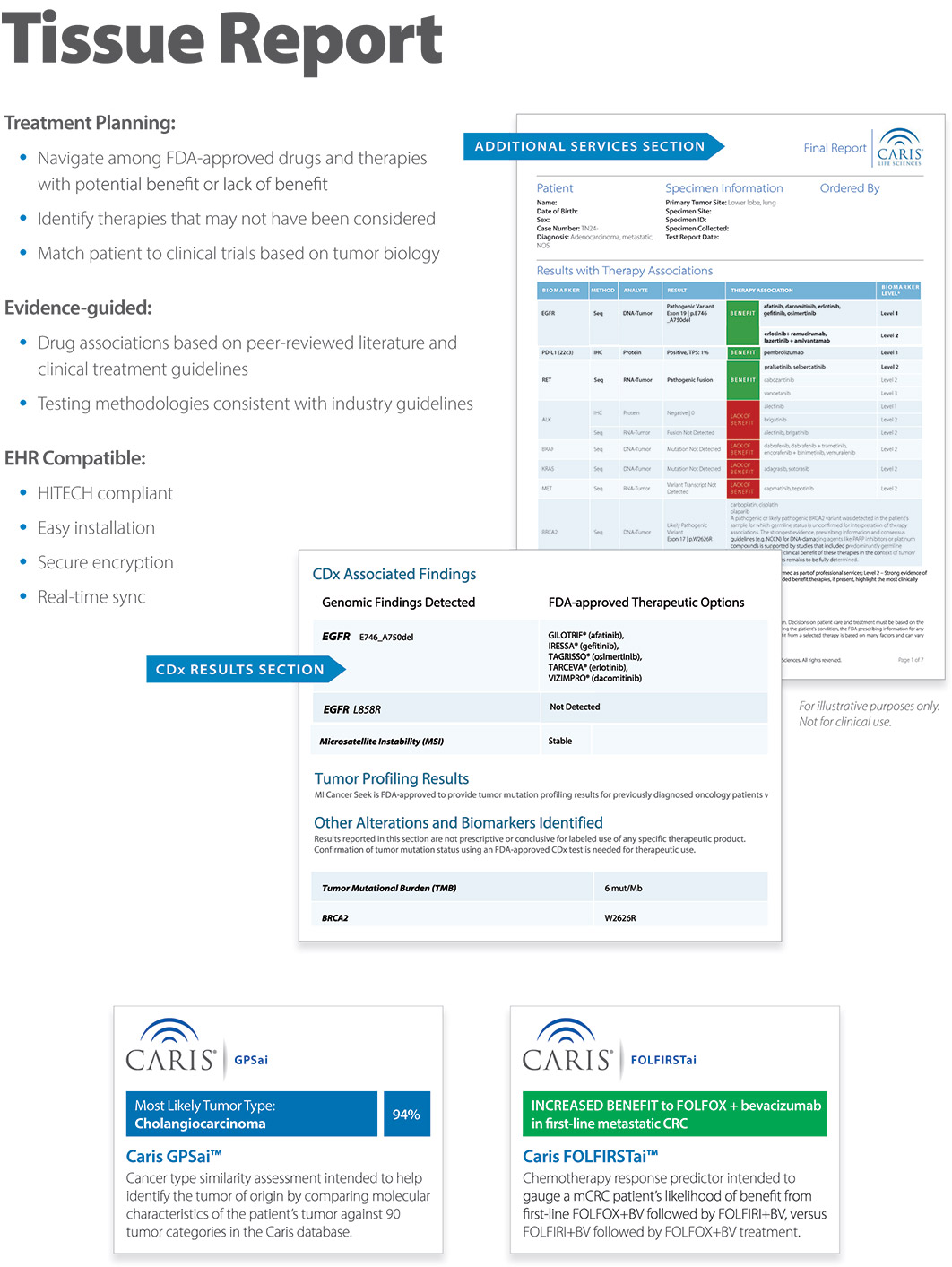 [MISSING IMAGE: fc_miprofile-4c.jpg]