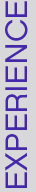 gfx_subHeader_experience.jpg