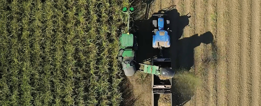 For p.232 Avalo Partnership_expanded_crop.jpg