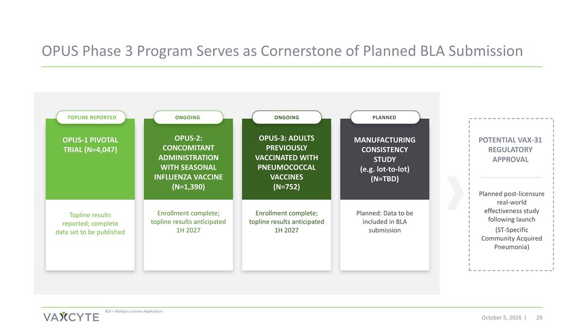 Slide 29