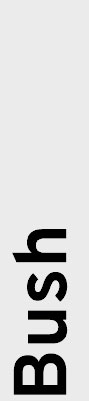04-439032-3_gfx_verticalnames-Bush.jpg