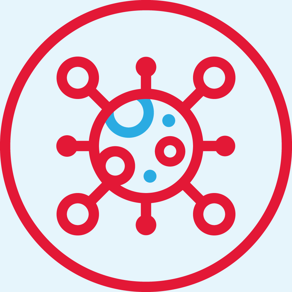03_MRNA_PXY_2026_two.jpg