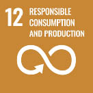 SDG_12.jpg