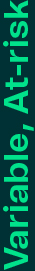 03 UIS_ExecComp_Variable.jpg