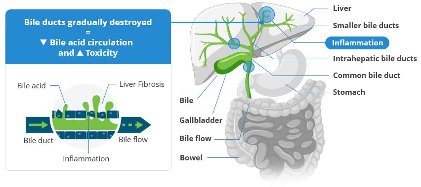 2023.02 GFT Corporate deck - PBC - MoD - EN.jpg