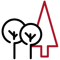 02 PRO013636_director-skills-and-exp_agriculture.jpg