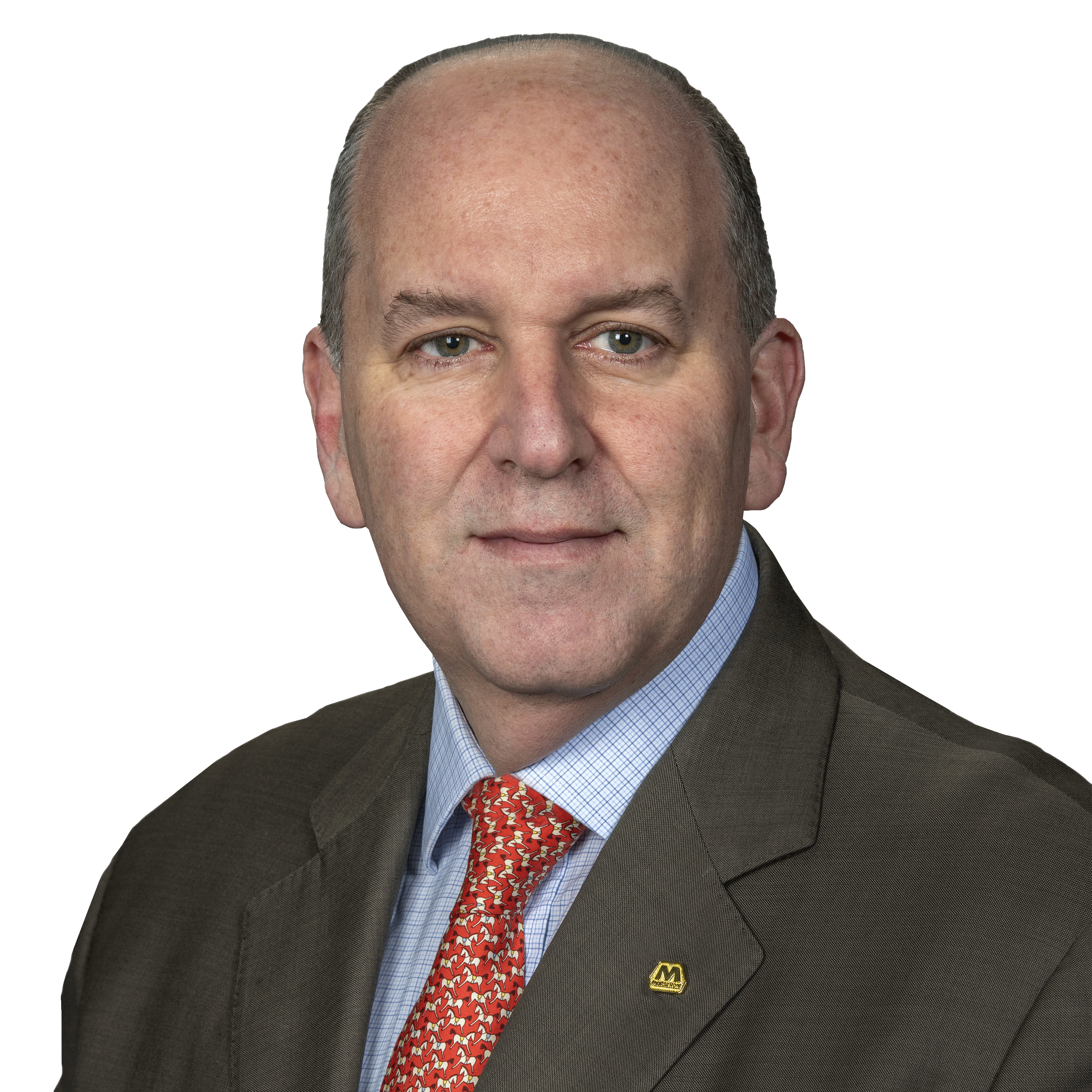 Overview_Cohen.gif