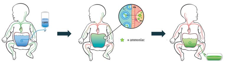 2023.02 GFT Corporate deck - HAC - MoA EN.jpg
