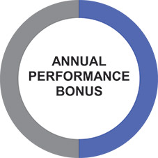 [MISSING IMAGE: pc_annualperbonus-pn.jpg]