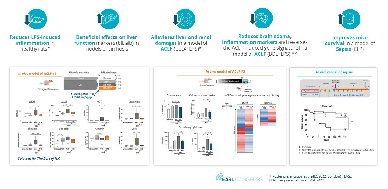 2024.04 schema NTZ global EN V2.jpg