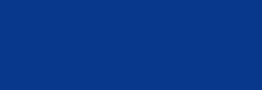 style=max-width:100%;height:auto;display:none