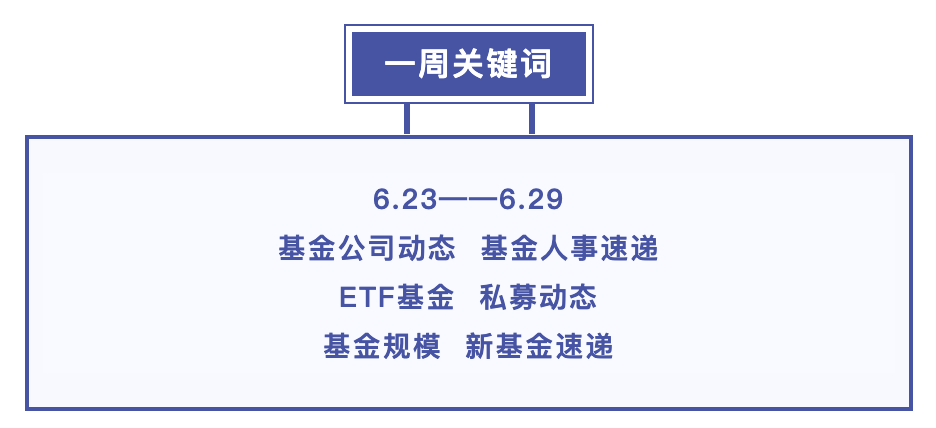 基金2024年上半年业绩出炉！首批沙特ETF开售