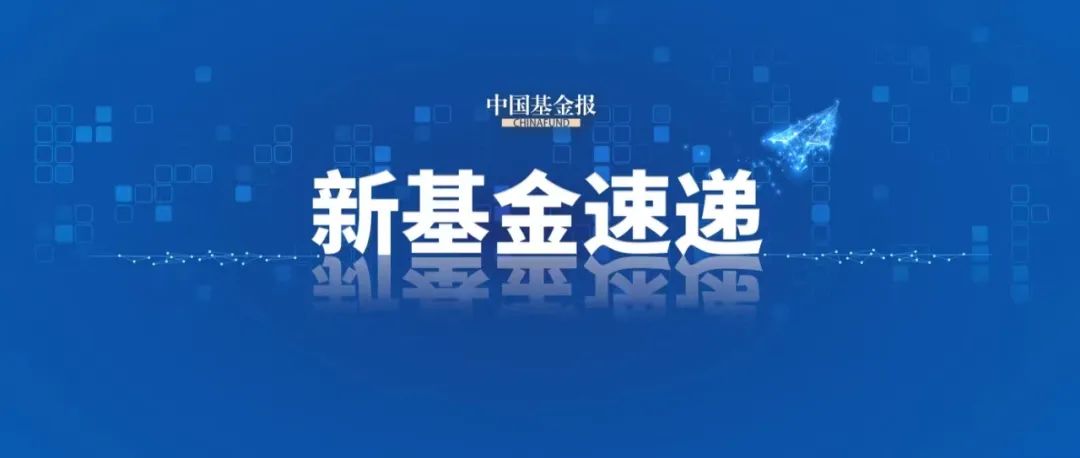 19只，开售