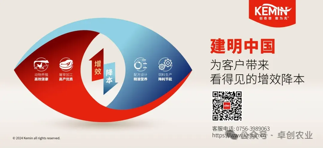 卓创资讯监测样本企业生猪日度出栏总量走势图