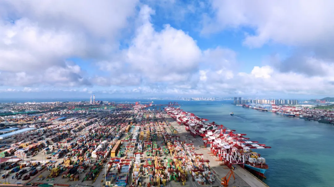 中国企业家看河南丨"你好河南,我是你的出海口"