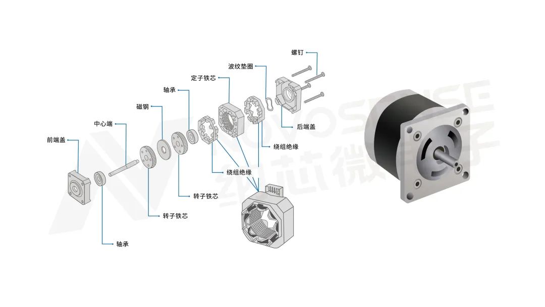 步进电机内部结构图图片