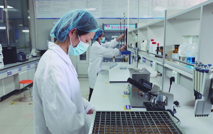 数智化"提鲜"传统乳企竞争力——曦强乳业发展新质生产力一线调研