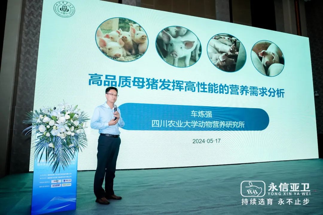 持续选育 永不止步——2024种猪企业高质量发展国际育