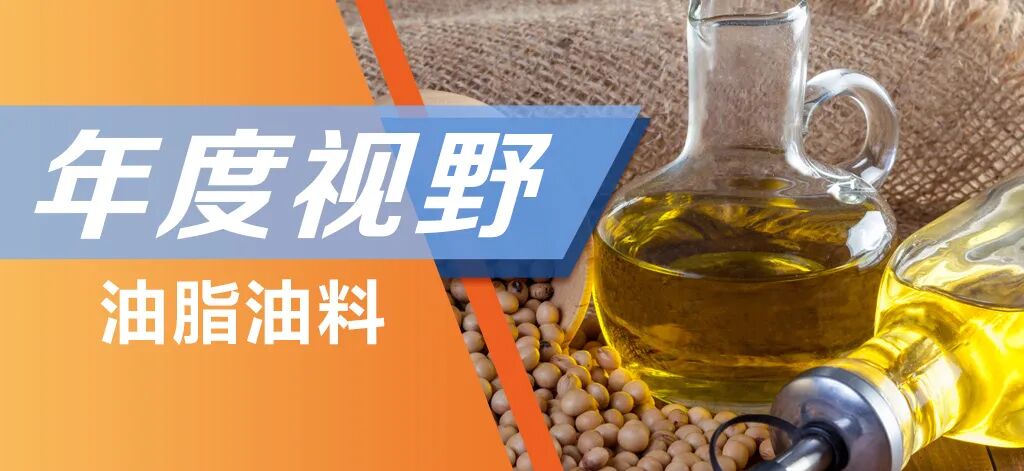 油脂油料-贸易重构与生柴政策双轮驱动