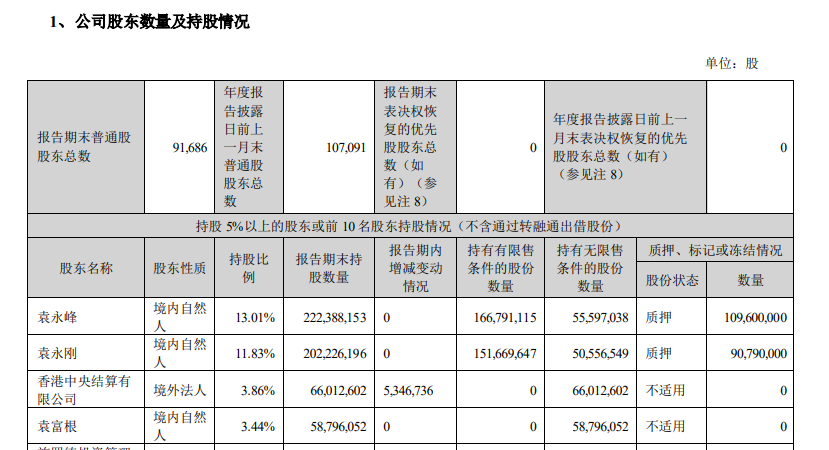 东山精密上市14年,袁氏父子持股量腰斩背后