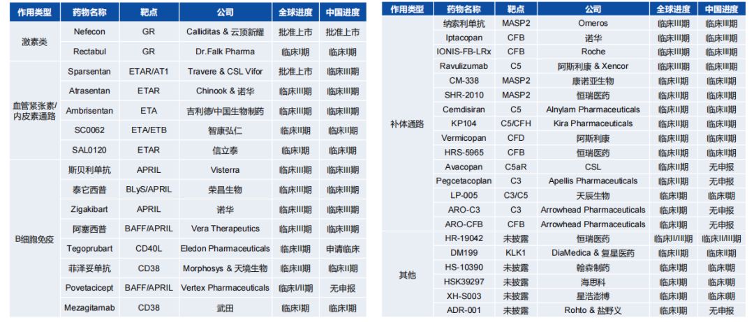 iga肾病赛道起风了
