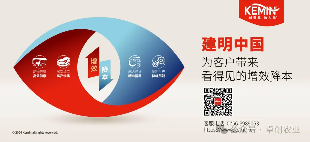 元旦假期期间，国内玉米淀粉现货市场分析及展望