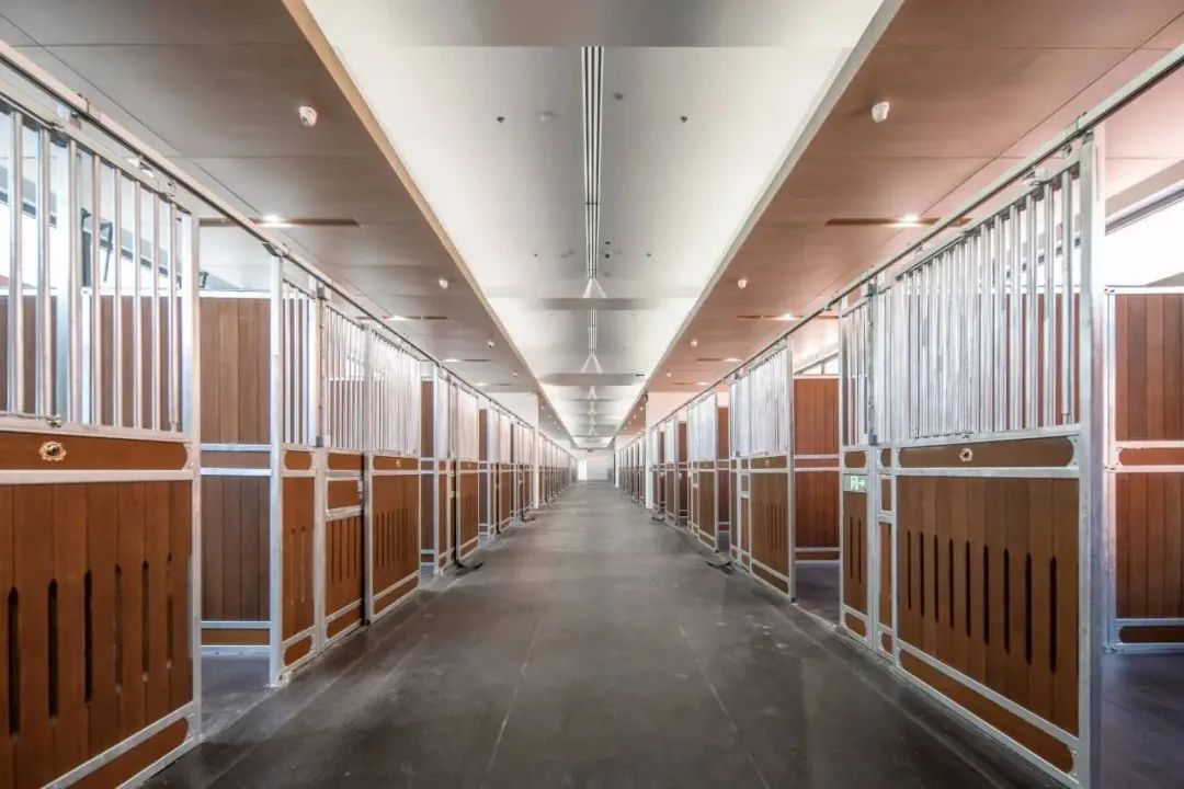 打造城市体育新地标 | 华建集团助力上海久事国际马术中心惊艳亮相!