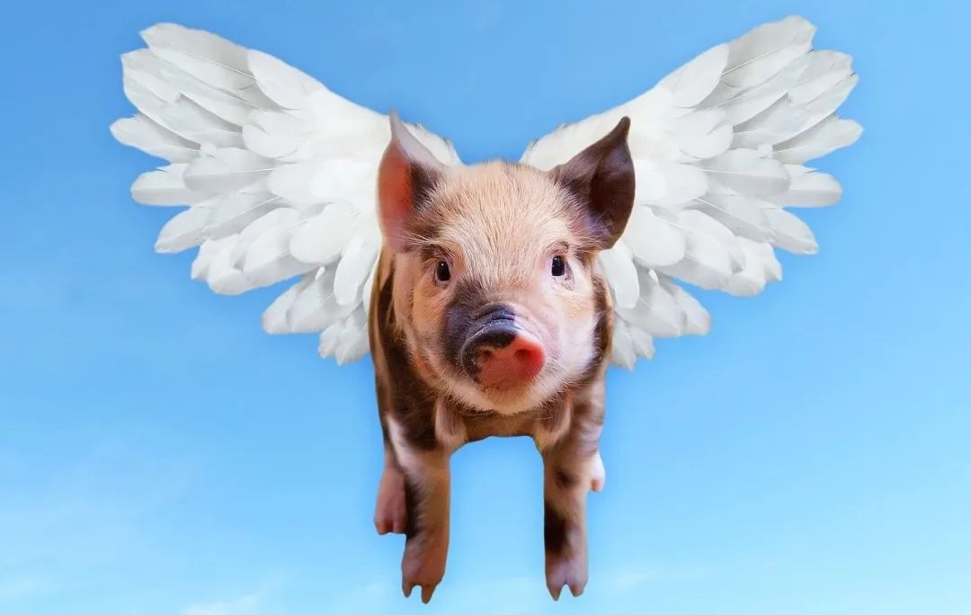 5月12日,深交所向牧原食品股份有限公司(下称"牧原股份")下发2023年