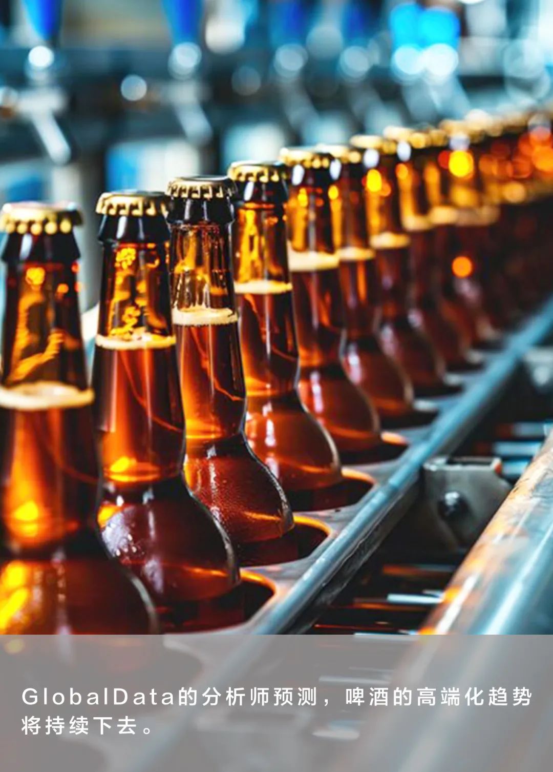 高端化持续!未来5年全球啤酒销售额继续跑赢销量
