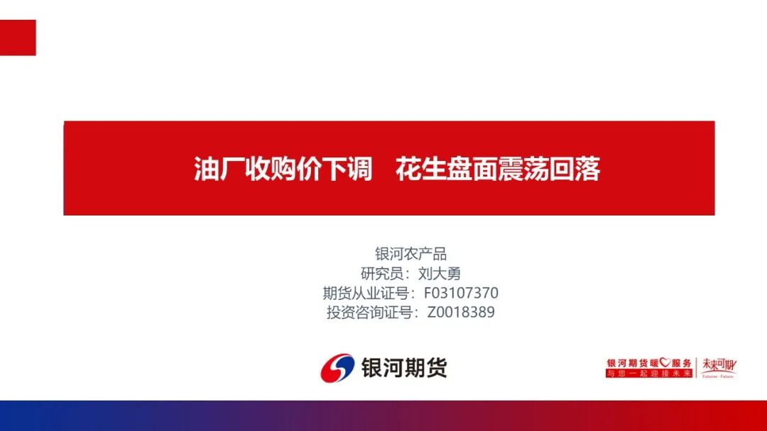 【花生周报】油厂收购价下调盘面震荡回落