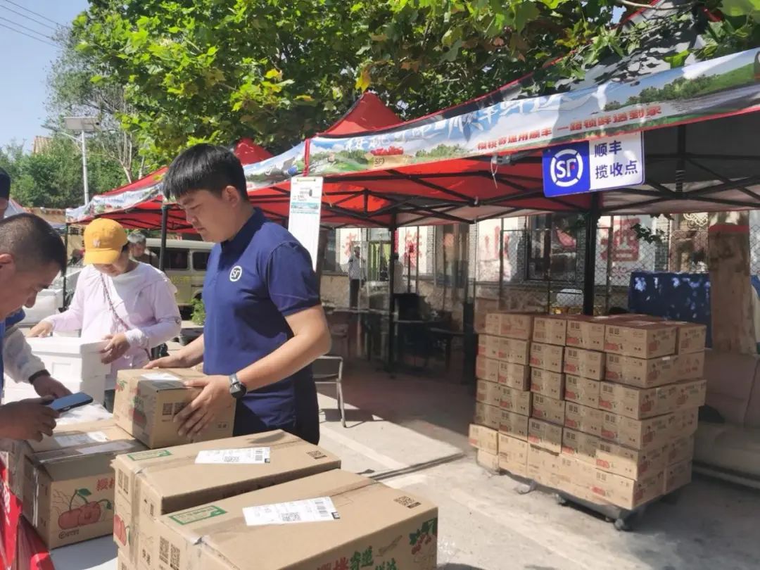 顺丰9架樱桃专机护航大连樱桃鲜"飞"全国